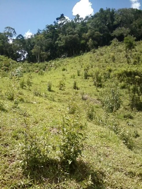 Foto 1 de Fazenda/Sítio com 1 Quarto à venda, 70000m² em Zona Rural, Delfim Moreira