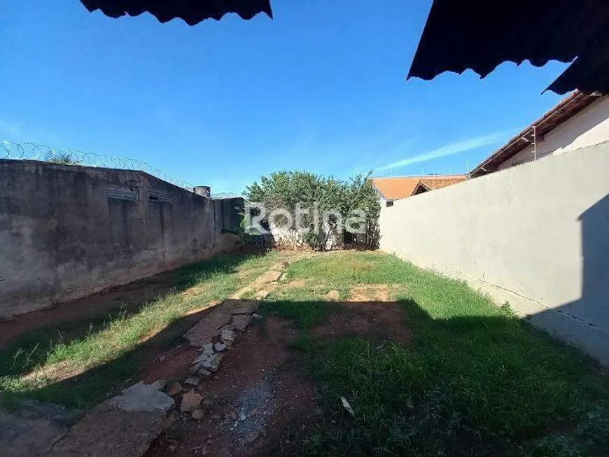 Foto 1 de Casa com 3 Quartos para alugar, 90m² em Custódio Pereira, Uberlândia