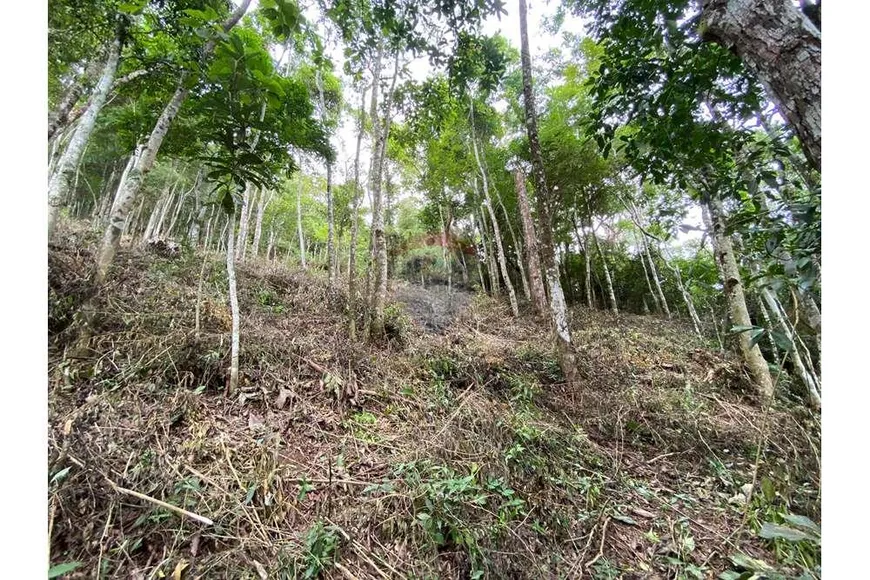 Foto 1 de Lote/Terreno à venda, 1610m² em Parque Dom João VI, Nova Friburgo