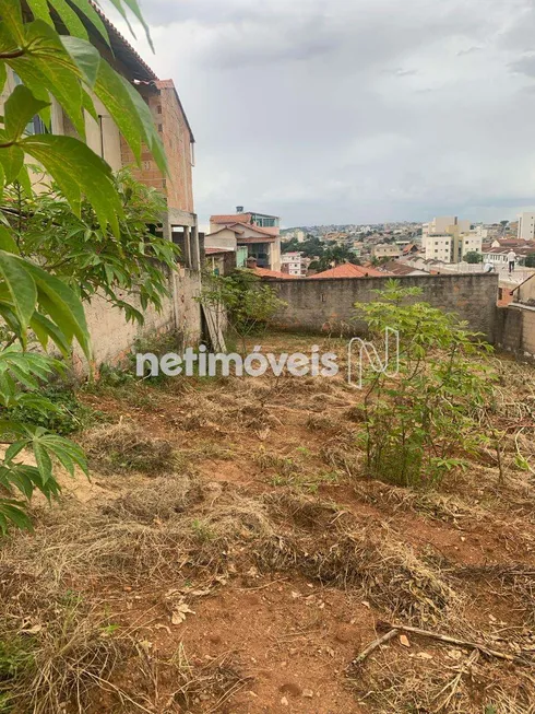 Foto 1 de Lote/Terreno à venda, 180m² em Pindorama, Belo Horizonte