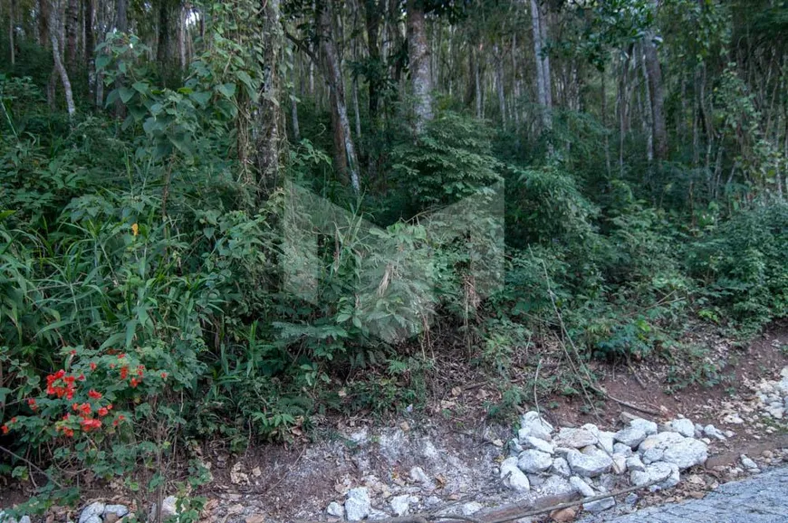 Foto 1 de Lote/Terreno à venda, 6943m² em Pedro do Rio, Petrópolis