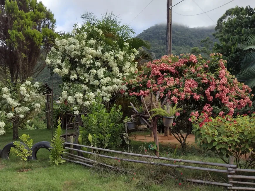 Foto 1 de Fazenda/Sítio com 3 Quartos à venda, 5000m² em Sao Francisco Xavier do Guandu, Afonso Cláudio