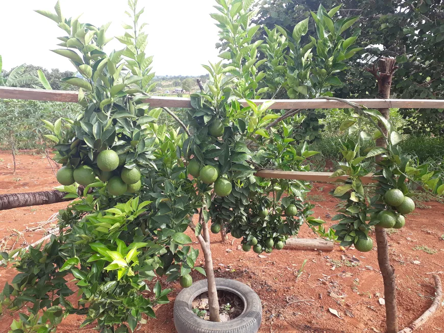 Foto 1 de Lote/Terreno à venda, 20000m² em Centro, Paraopeba