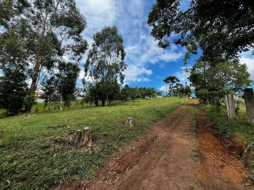 Foto 1 de Fazenda/Sítio à venda, 63000m² em , Campina Grande do Sul