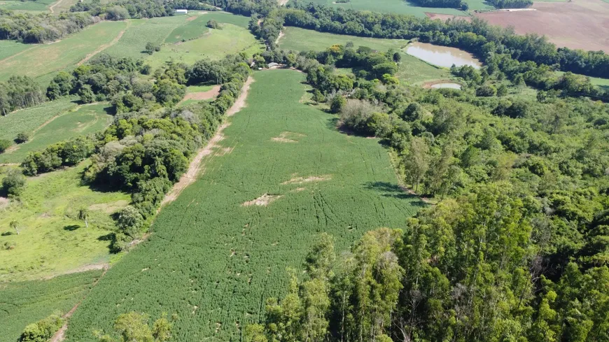 Foto 1 de Fazenda/Sítio com 3 Quartos à venda, 100m² em Sampaio, Mato Leitão