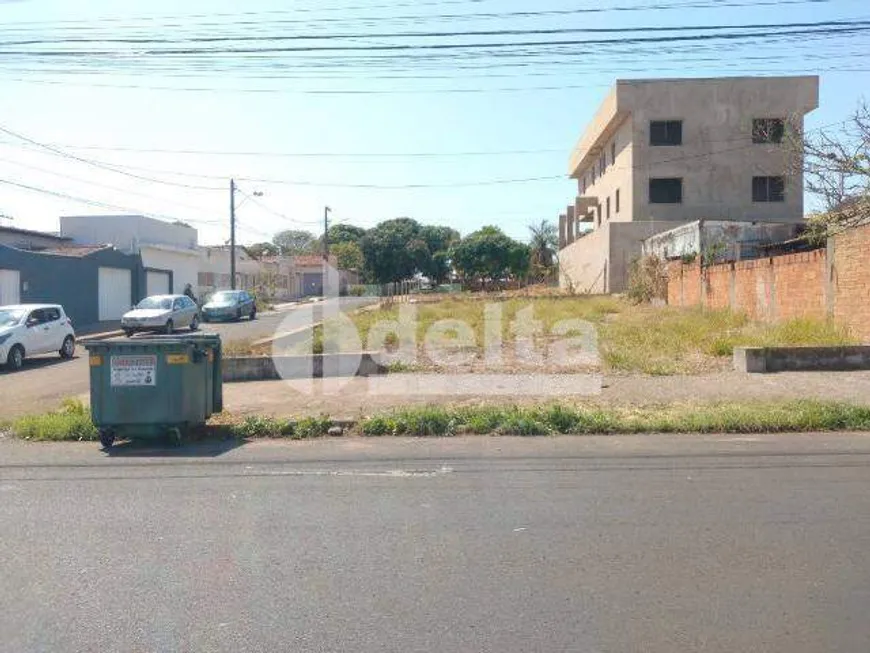 Foto 1 de para alugar, 300m² em Alto Umuarama, Uberlândia