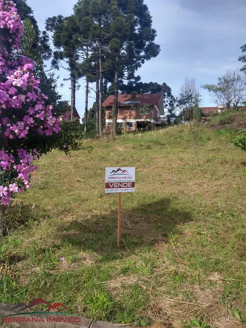 Foto 1 de Lote/Terreno à venda, 554m² em Bavária, Nova Petrópolis