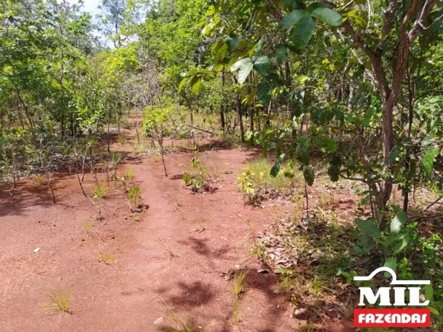 Foto 1 de Fazenda/Sítio à venda em Zona Rural, São Valério da Natividade