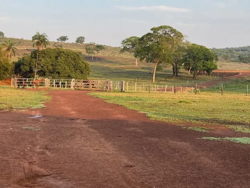 Foto 1 de Fazenda/Sítio à venda, 10500000m² em Centro, Torixoréu