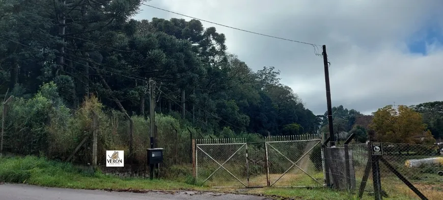 Foto 1 de Lote/Terreno à venda, 20413m² em Pedancino, Caxias do Sul