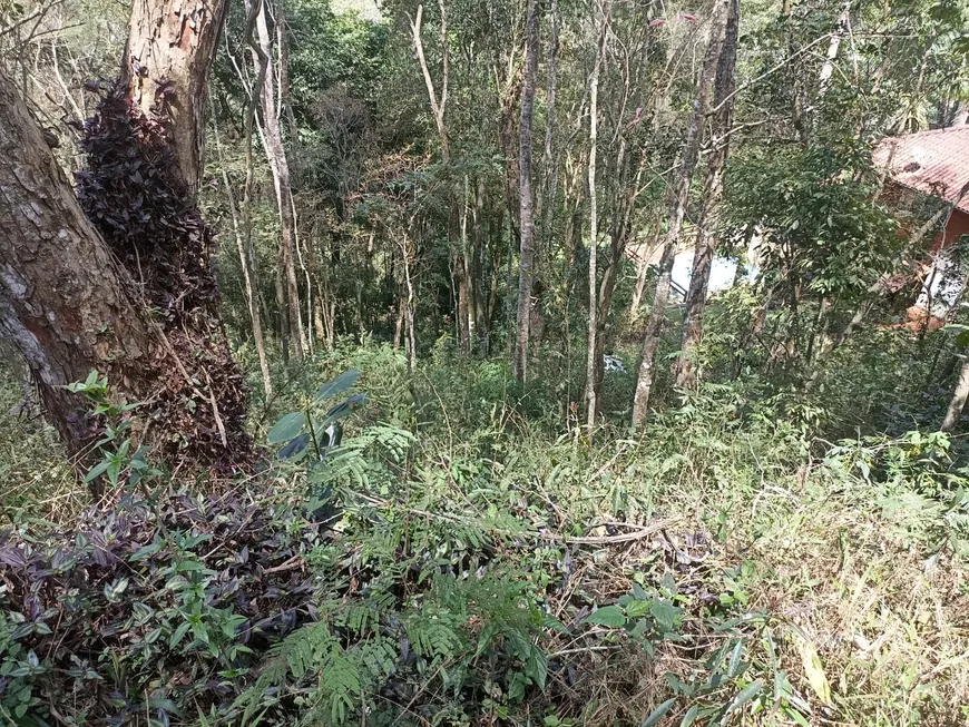 Foto 1 de Lote/Terreno à venda, 2379m² em Itaipava, Petrópolis