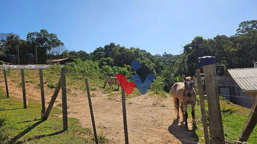 Foto 1 de Fazenda/Sítio à venda, 4361m² em Zona Rural, Contenda