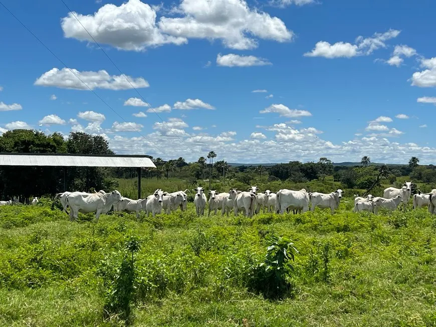 Foto 1 de Fazenda/Sítio à venda, 10410000m² em Zona Rural, Arinos