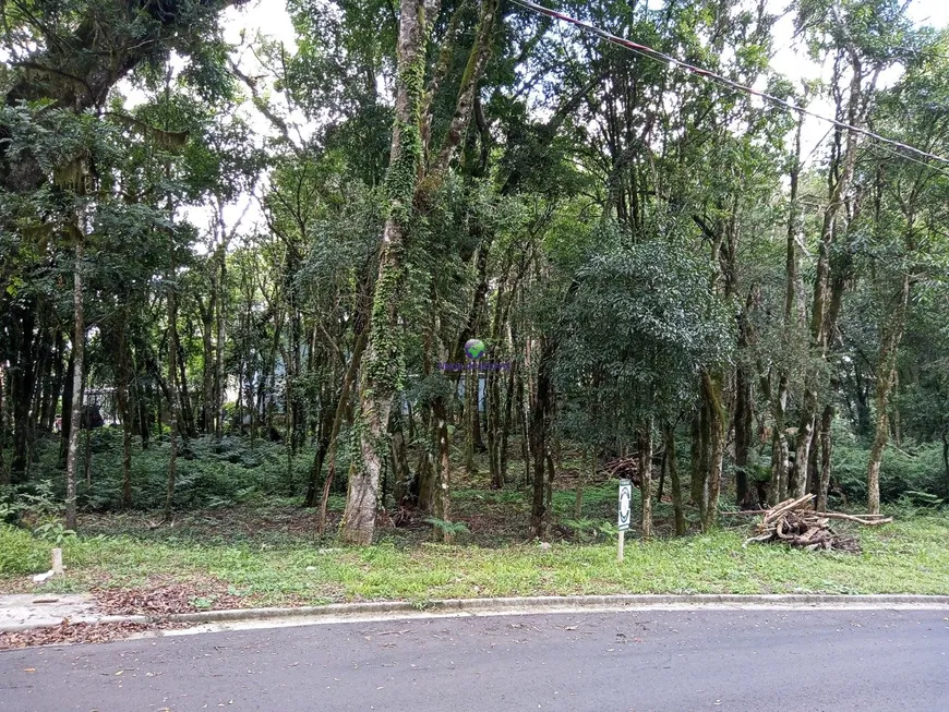 Foto 1 de Lote/Terreno à venda, 802m² em , Gramado