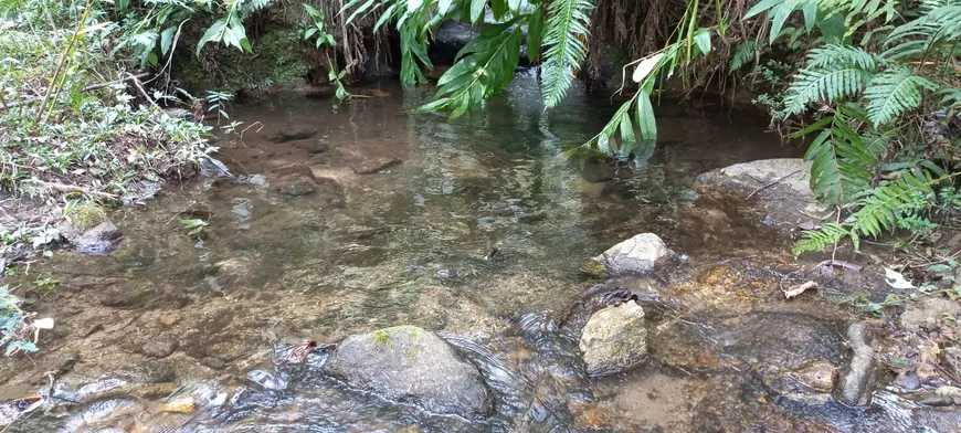 Foto 1 de Fazenda/Sítio à venda, 120600m² em Centro, Marmelópolis