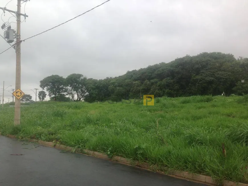 Foto 1 de Lote/Terreno à venda, 366m² em Jardim Pau Brasil, Americana