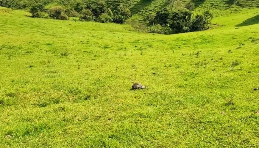 Foto 1 de Lote/Terreno à venda, 100m² em Centro, Camanducaia