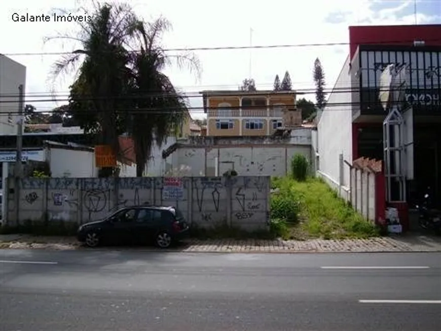 Foto 1 de Lote/Terreno para alugar, 503m² em Cambuí, Campinas