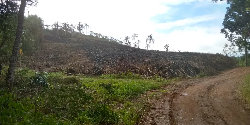 Foto 1 de Fazenda/Sítio à venda, 10815m² em Morro Azul, Almirante Tamandaré