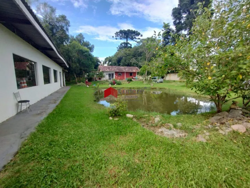 Foto 1 de Fazenda/Sítio com 4 Quartos à venda, 4180m² em Colônia Murici, São José dos Pinhais