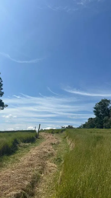 Foto 1 de Lote/Terreno à venda, 500m² em Recreio, Ibiúna