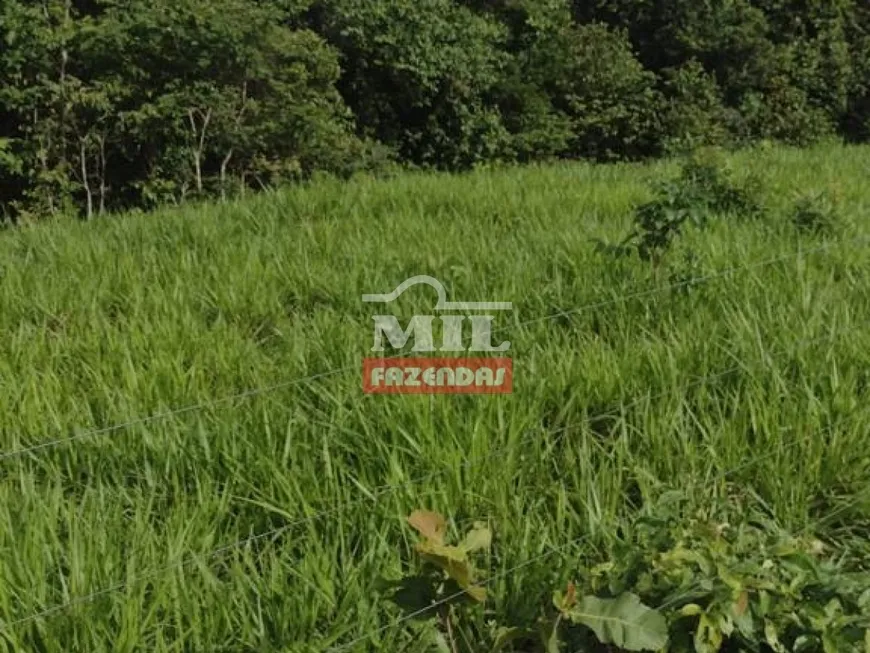 Foto 1 de Fazenda/Sítio à venda, 522m² em Zona Rural, Niquelândia