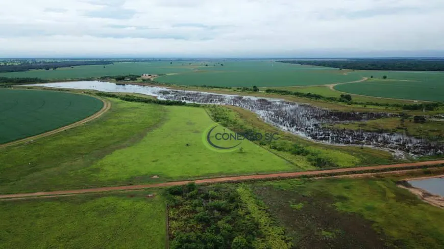 Foto 1 de Fazenda/Sítio com 4 Quartos à venda, 56140000m² em Zona Rural, Jussara