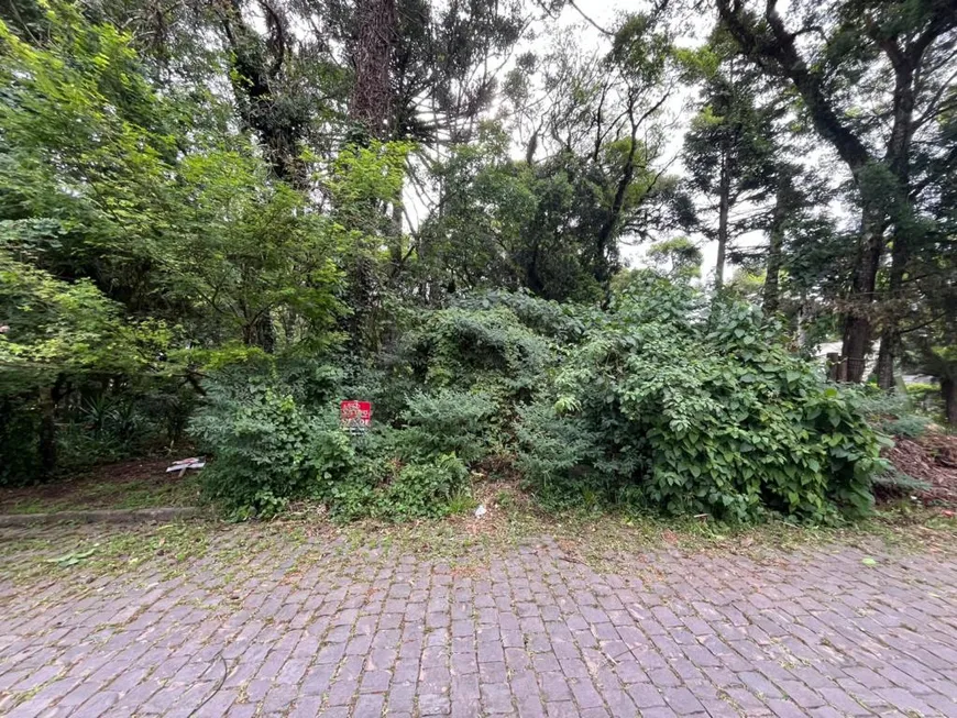 Foto 1 de Lote/Terreno à venda, 481m² em Vila Suica, Canela