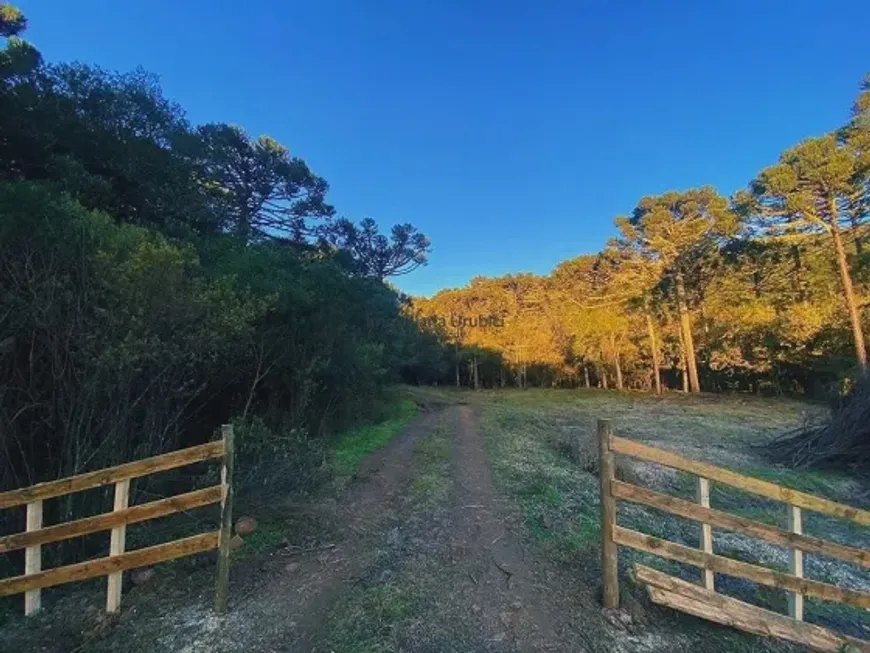 Foto 1 de Lote/Terreno à venda em Vacas Gordas, Urubici