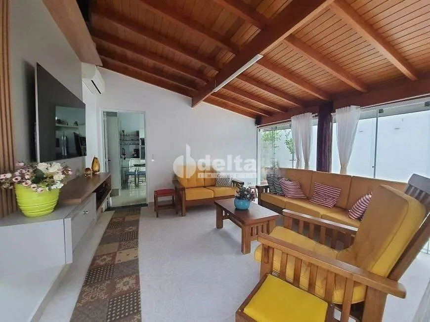 Foto 1 de Casa com 3 Quartos à venda, 271m² em Vigilato Pereira, Uberlândia