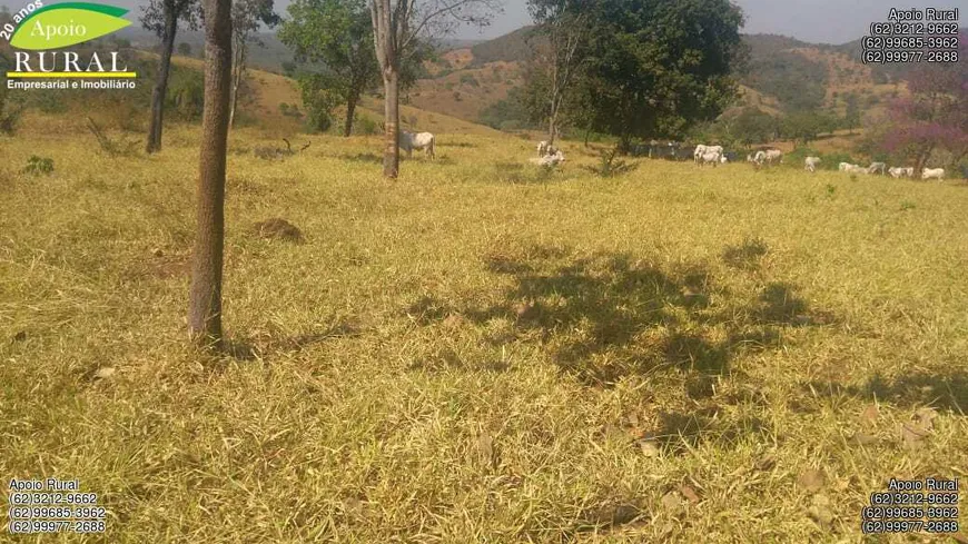 Foto 1 de Fazenda/Sítio com 3 Quartos à venda, 12342000m² em Zona Rural, Goiás