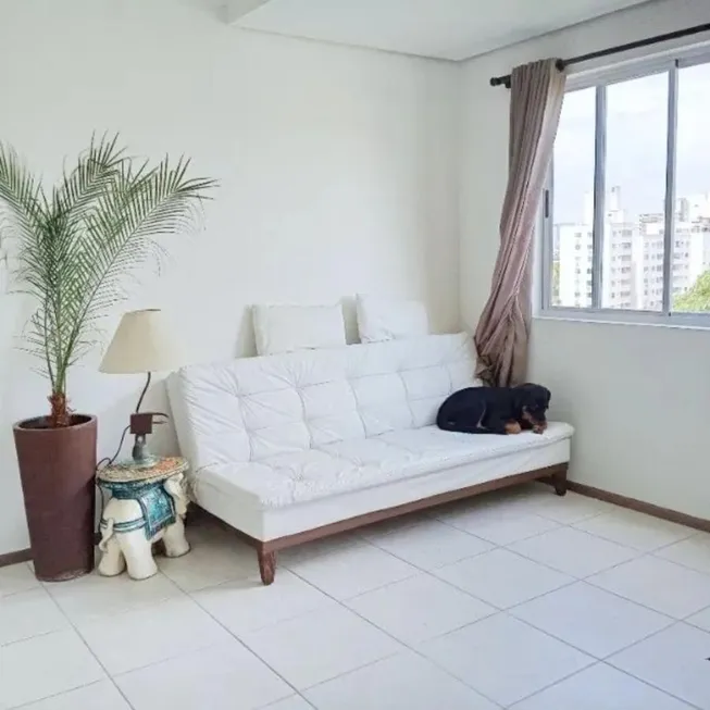 Foto 1 de Apartamento com 2 Quartos à venda, 57m² em Nossa Senhora do Rosário, São José