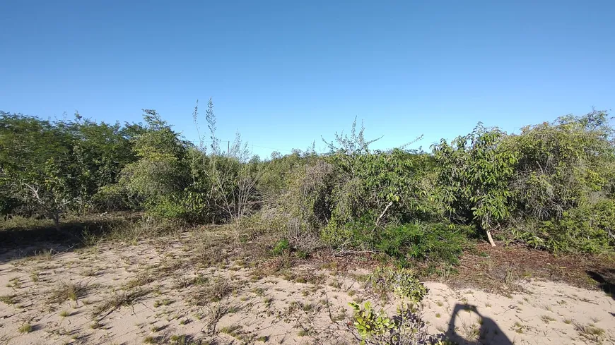 Foto 1 de Lote/Terreno à venda, 5000m² em VALE DO PIUM, Nísia Floresta