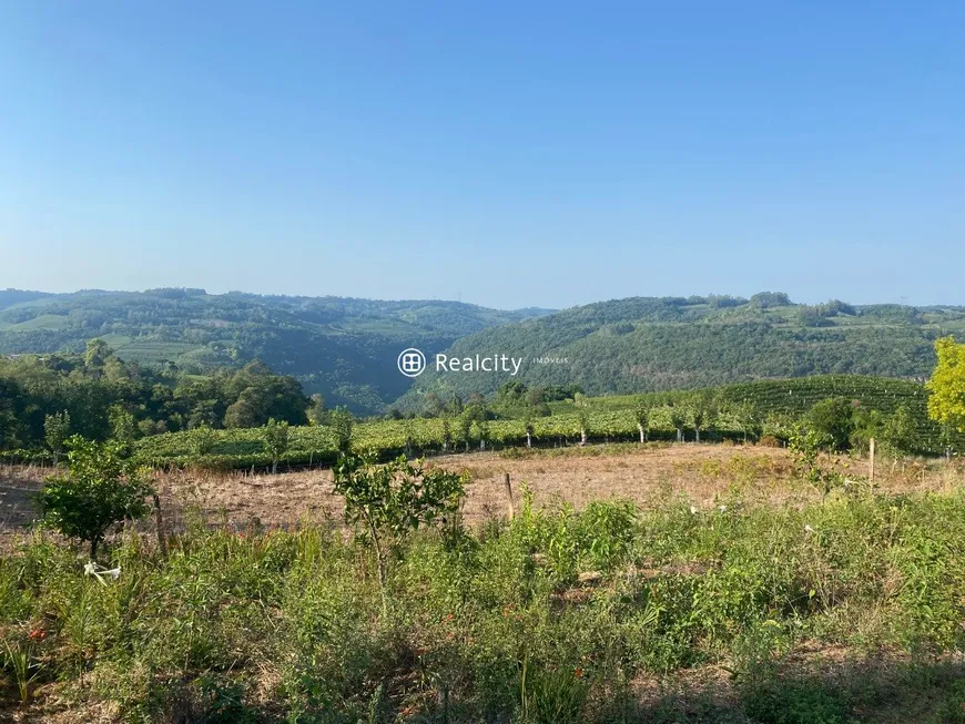 Foto 1 de Lote/Terreno à venda, 220000m² em , Monte Belo do Sul