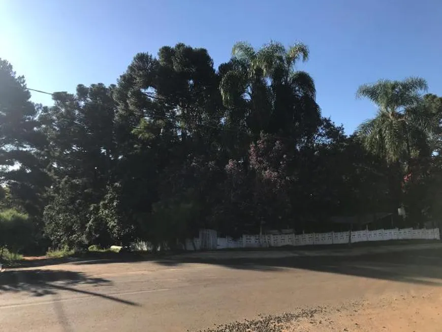 Foto 1 de Lote/Terreno à venda em Centro, Ponta Grossa