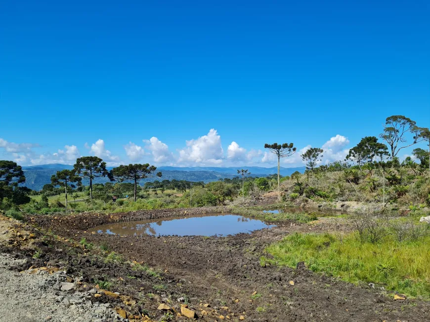 Foto 1 de Fazenda/Sítio à venda, 20000m² em Santa Tereza, Urubici