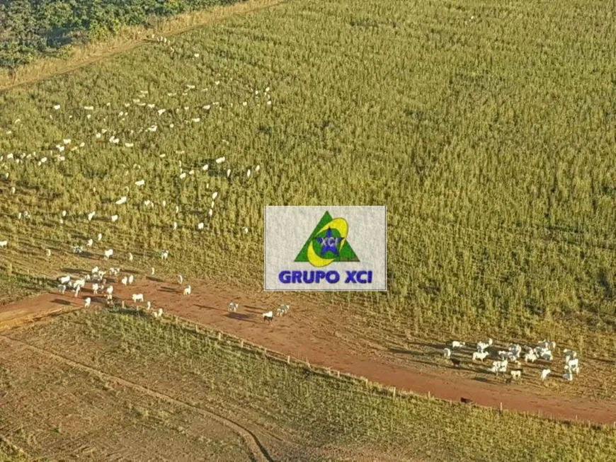 Foto 1 de Fazenda/Sítio à venda, 175000000m² em Zona Rural, Água Boa