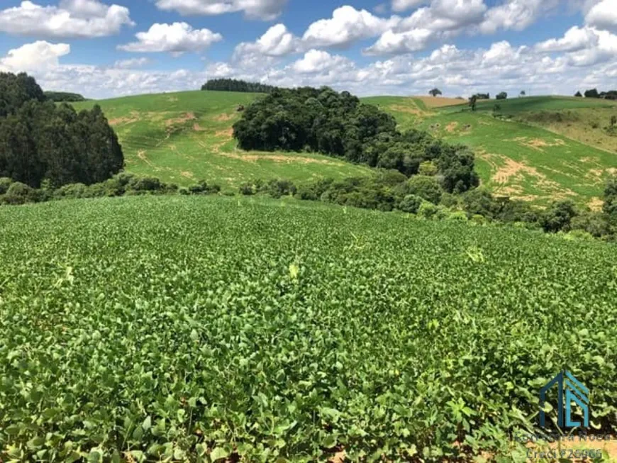 Foto 1 de Lote/Terreno à venda, 150000m² em Sao Joao do Caiva, Lapa