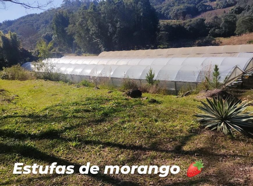 Fazenda/Sítio 21000 m² em Fazenda Souza em Caxias do Sul, por R 840.000 Viva Real Fazenda/Sítio 21000 m² em Fazenda Souza em Caxias do Sul, por R 840.000 Viva Real