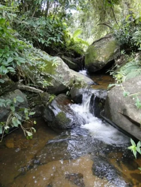 Foto 1 de Fazenda/Sítio com 1 Quarto à venda, 206300m² em Zona Rural, Delfim Moreira