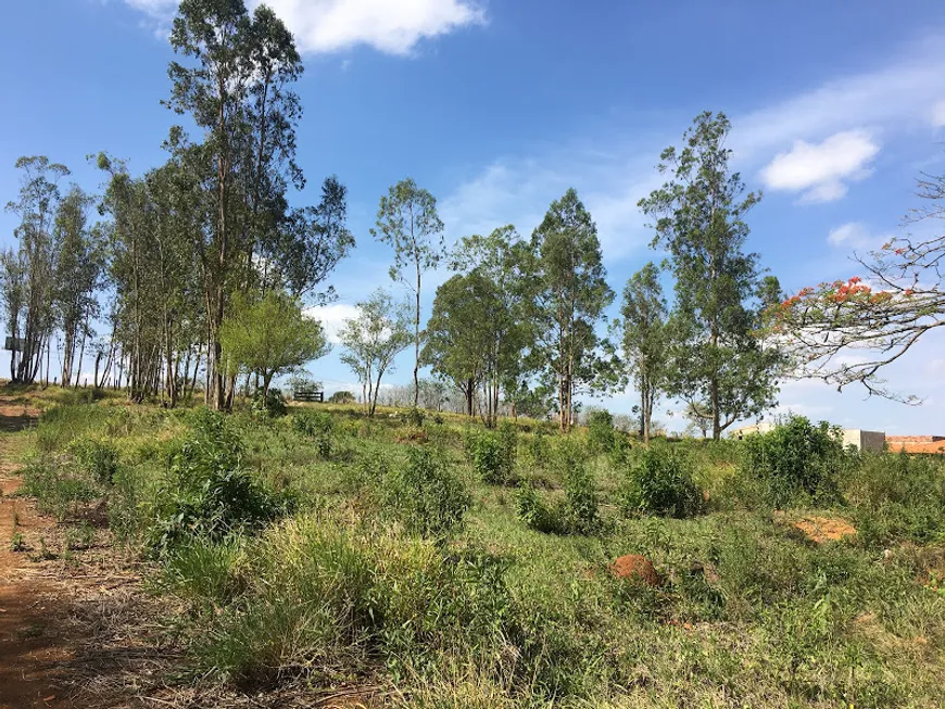 Foto 1 de Lote/Terreno à venda, 3000m² em Centro, Quadra