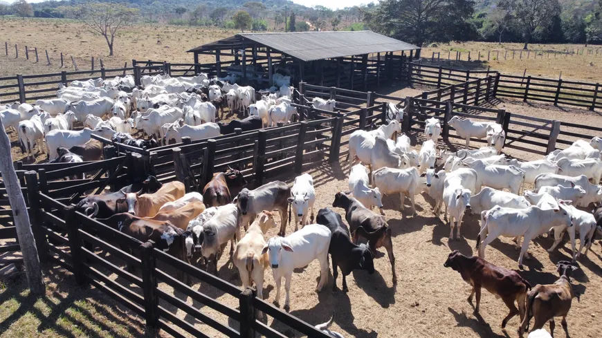 Foto 1 de Fazenda/Sítio com 1 Quarto à venda, 48m² em Setor Central, Goiânia