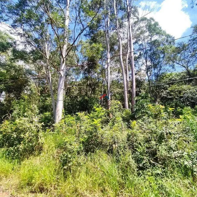 Foto 1 de Lote/Terreno à venda, 2841m² em Pau Arcado, Campo Limpo Paulista