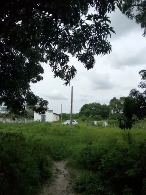 Foto 1 de Fazenda/Sítio à venda, 20000m² em Centro, São Gonçalo do Amarante