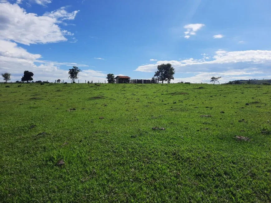 Foto 1 de Fazenda/Sítio à venda, 145200m² em Zona Rural, Porangaba