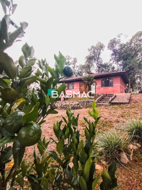 Foto 1 de Fazenda/Sítio com 4 Quartos à venda, 150m² em Campestre da Faxina, São José dos Pinhais