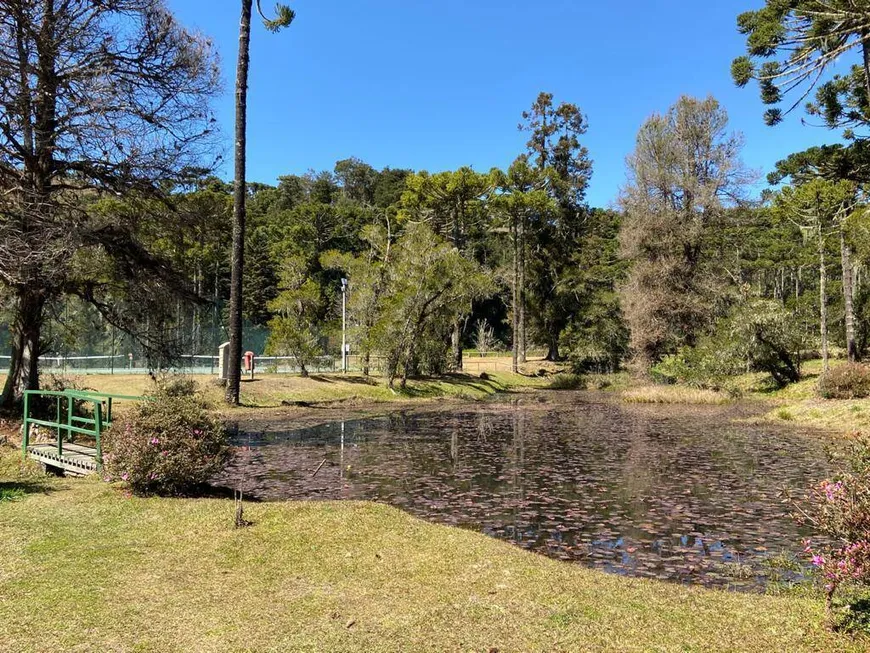 Foto 1 de Lote/Terreno à venda, 4880m² em Descansopolis, Campos do Jordão