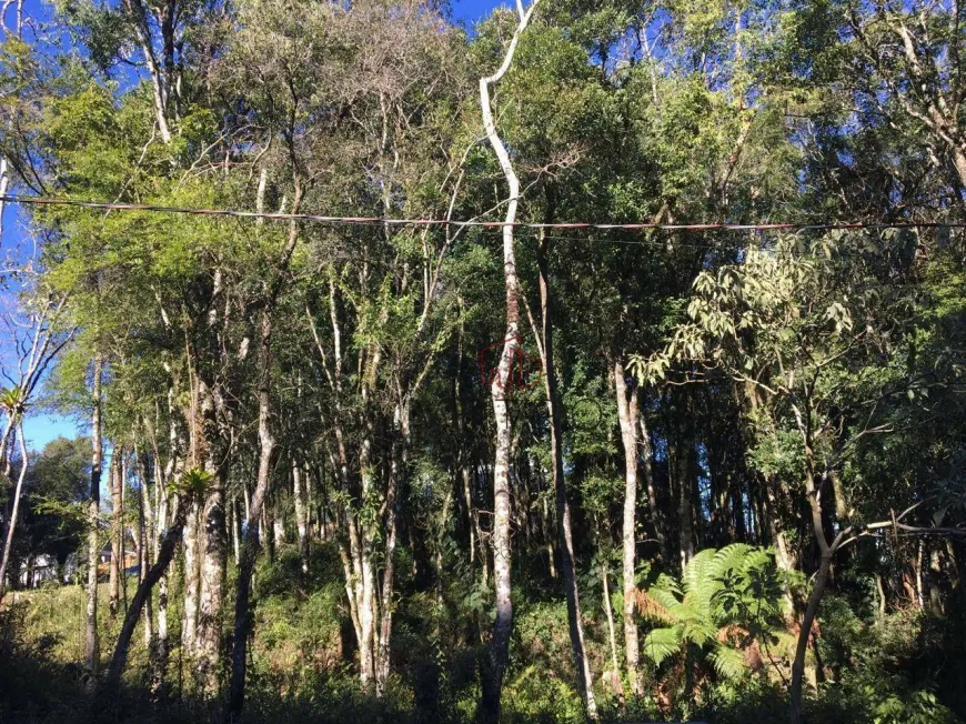 Foto 1 de Lote/Terreno à venda, 805m² em Floresta, Gramado