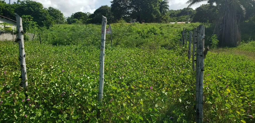 Foto 1 de Lote/Terreno à venda, 390m² em Itamaraca, Ilha de Itamaracá