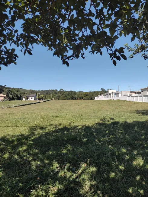 Foto 1 de Lote/Terreno à venda, 55000m² em Morro Estevão, Criciúma